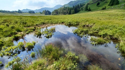 A new pool has formed as a result of the wetland restoration at Blea Tarn, Little Langdale.